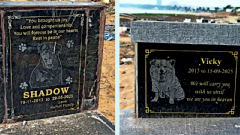 Vizag's Beach Pet Memorials: A Testament to Timeless Human-Animal Bonds