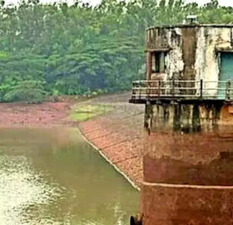 Water Crisis in Bihar's Kaimur Hills Forces Tribal Families to Postpone Weddings