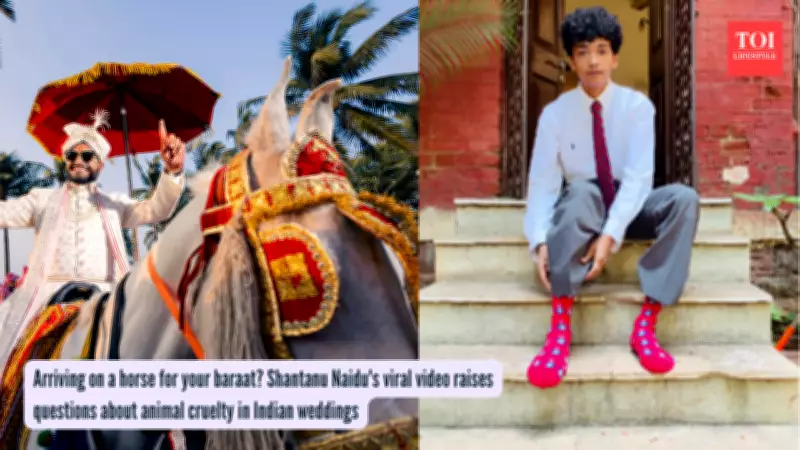 Wedding Horse Cruelty Exposed: The Dark Reality Behind India's Baraat Tradition