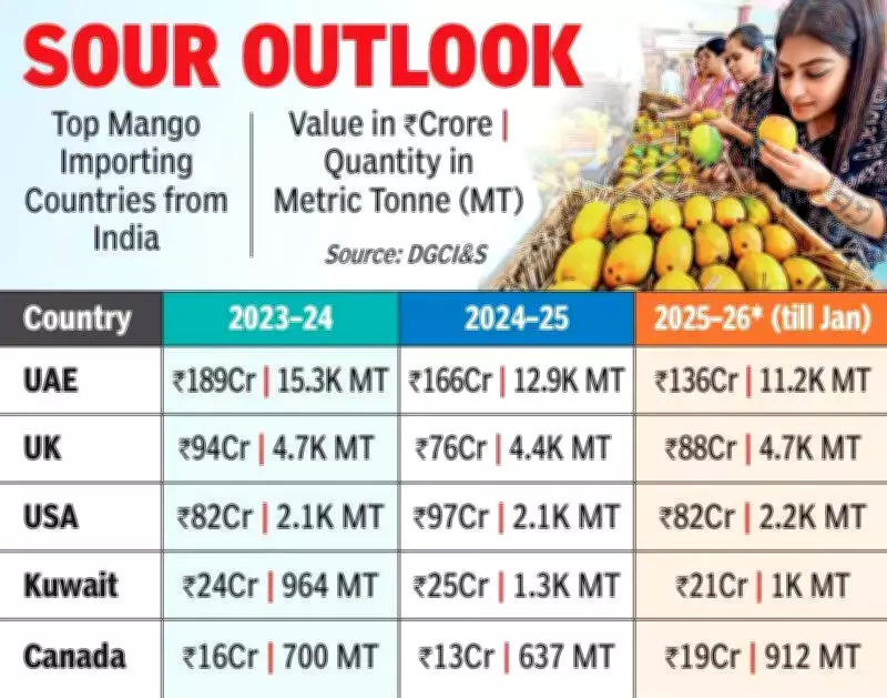 West Asia Crisis Slashes India's Mango Exports by 20-30%, Freight Costs Soar
