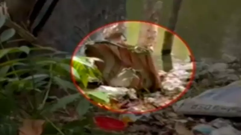 West Bengal Phase 2: Six Bombs Found Near Polling Booth in East Burdwan