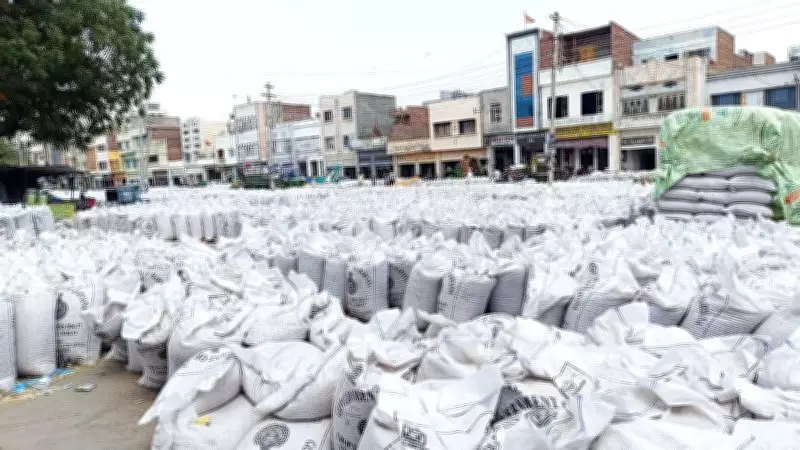 Wheat Lifting Delays Cause Losses, Stall Payments to Farmers in Sirsa Mandis