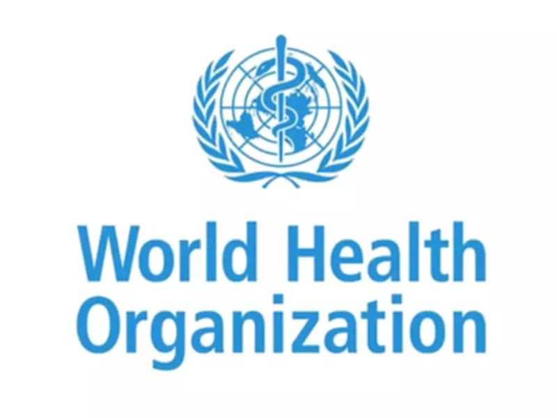 WHO Halts Gaza Medical Evacuations After Staff Member Killed in Security Incident