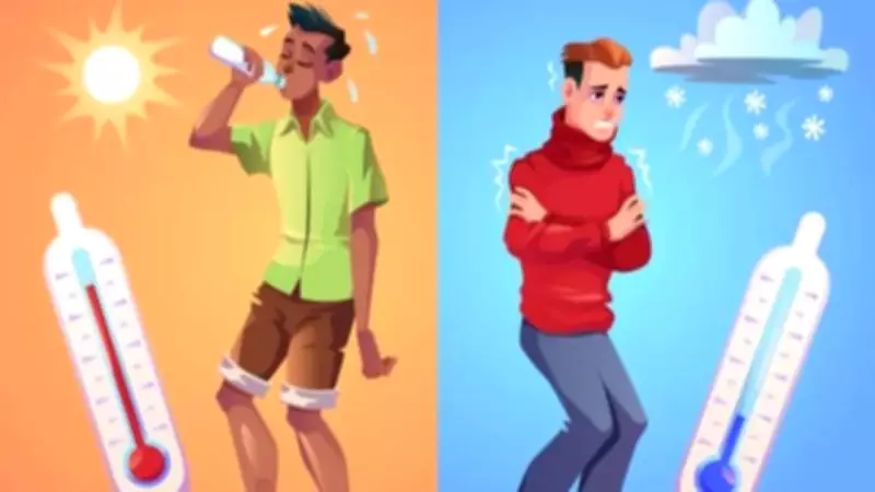 Why Earth Has Hot and Cold Places: A Simple Guide to Climate Differences