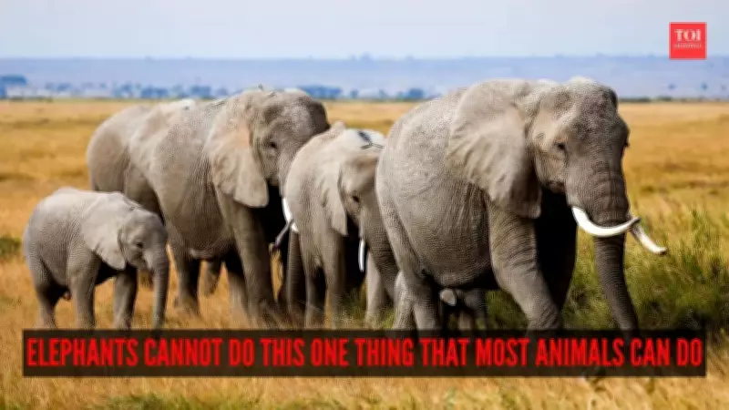 Why Elephants Cannot Jump: Anatomy, Evolution, and Adaptation Explained