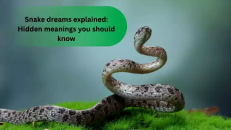 Why You See Snakes in Dreams: Spiritual Meanings Explained