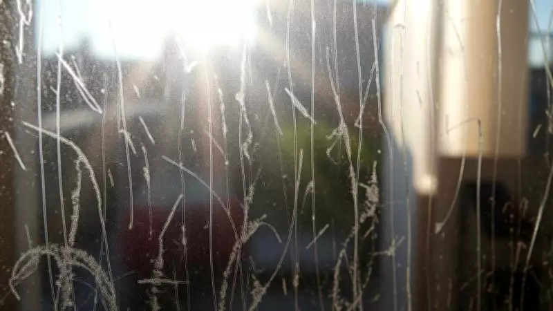 Why Your Windows Stay Streaky Despite Cleaning Efforts