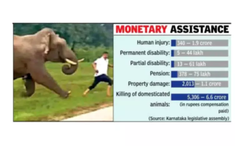 Wildlife Attacks in Karnataka: 53 Killed, 350+ Injured in 11 Months