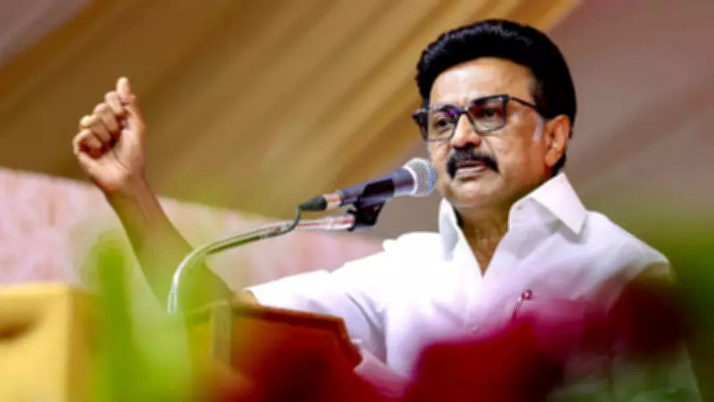 Will MK Stalin Retain Kolathur Seat in 2026? AIADMK, TVK Challenge