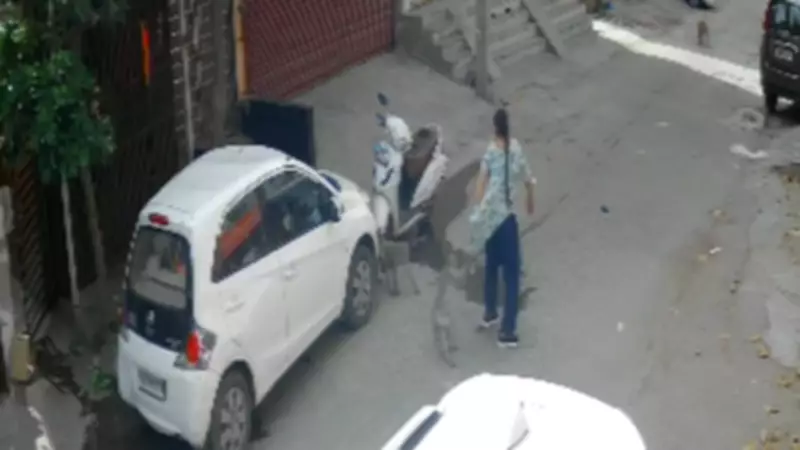 Woman Injured in Monkey Attack in Faridabad, Panic Grips Locality