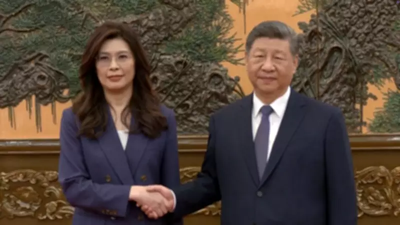 Xi Jinping Meets Taiwan's Opposition Leader, Stresses Shared Desire for Peace