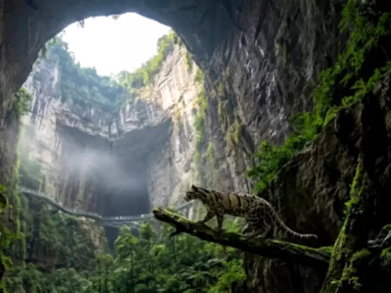 Xiaozhai Tiankeng: China's Giant Sinkhole and Its Unique Ecosystem