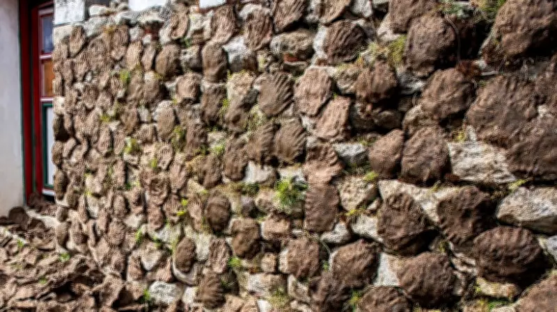 Young Entrepreneur's Biogas Plant in Hardoi Village Produces 24 TPD of Clean Energy