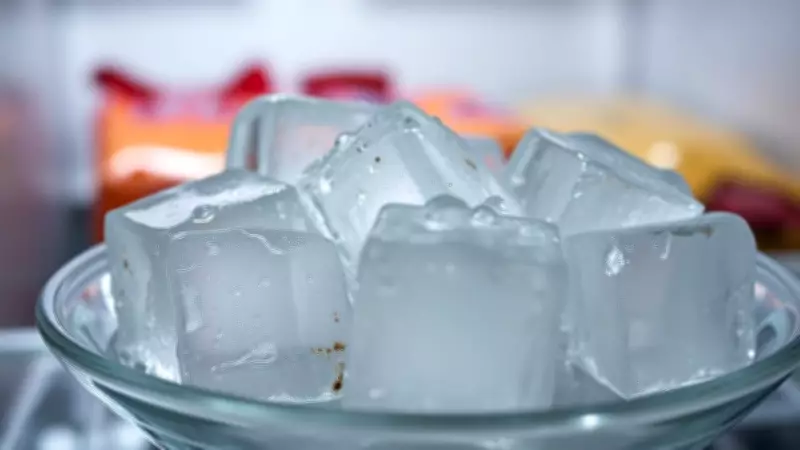 Your Freezer is Secretly Stealing Food Flavor: The Science of Odor Migration