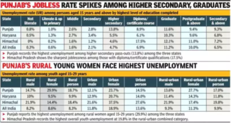 Youth Unemployment Crisis Deepens in Punjab and Himachal Pradesh, Doubling National Average