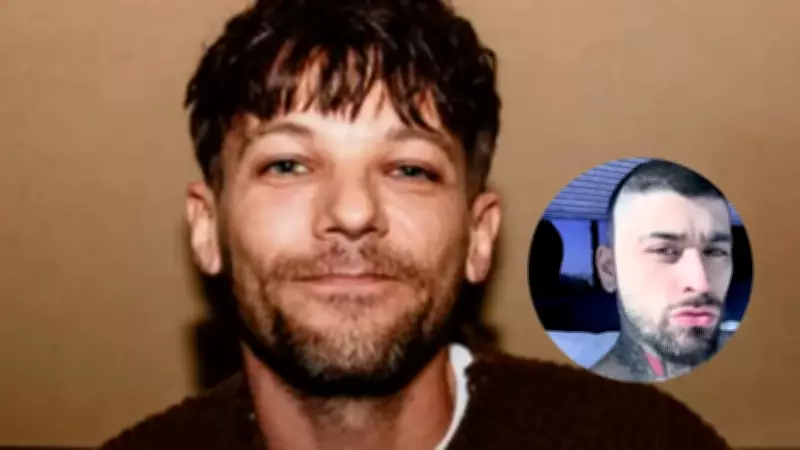 Zayn Malik and Louis Tomlinson Feud Escalates, Netflix Docuseries Cancelled