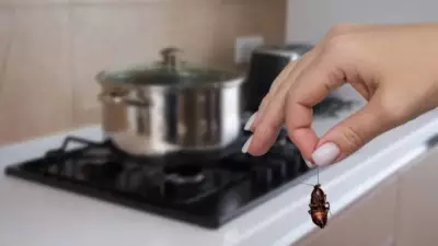 10 Natural Home Remedies to Eliminate Cockroaches Fast Without Chemicals