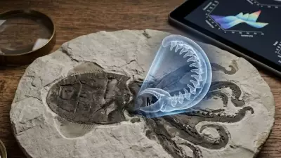 300-Million-Year-Old 'Octopus' Fossil Reclassified as Nautilus After 20-Year Study