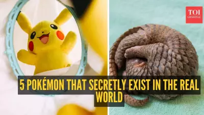5 Real-World Animals That Inspired Iconic Pokémon Designs