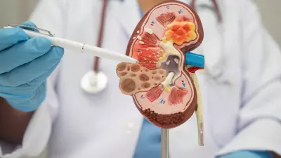 5 Urine Changes That Signal Early Kidney Damage: Don't Ignore These Signs