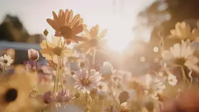 6 Fast-Blooming Flowers to Plant in April for Quick Garden Color