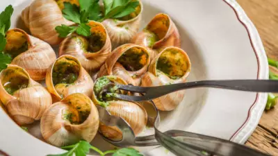 7 Delicious Snail Dishes You Must Try: From French Classics to Global Flavors