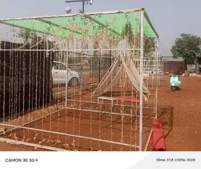 Almatti Emerges as Premier Pre-Wedding Photoshoot Hub in Karnataka