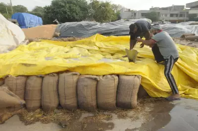 Amritsar MP Aujla Flags Poor Wheat Lifting and Storage at Mandi
