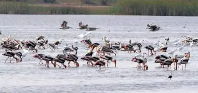 Andhra Pradesh Touted as Premier Tourism Hub in NITI Aayog's 'Divya Bharat' Report