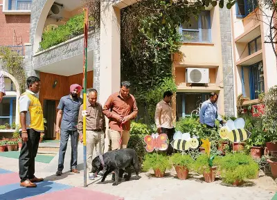 Another Bomb Hoax Disrupts City Schools in Chandigarh, Police Investigate