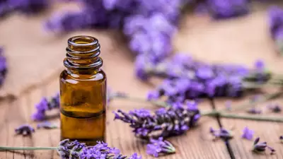 Aromatherapy for Kids: Safety Tips and Essential Oil Guidelines
