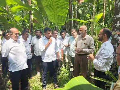 Automatic Weather Station Installed to Study Leaf Spot Disease in Areca