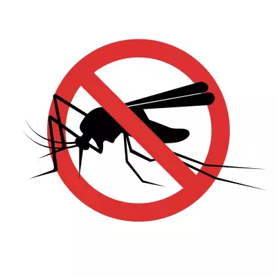 Awareness Campaigns Highlight Malaria Day in Chandigarh Region