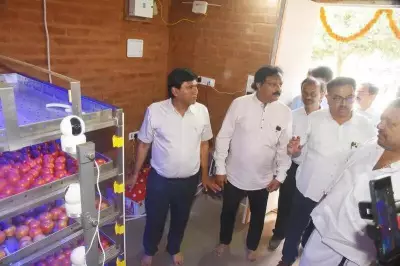 BIET Develops Chemical-Free Smart Tomato Preservation System