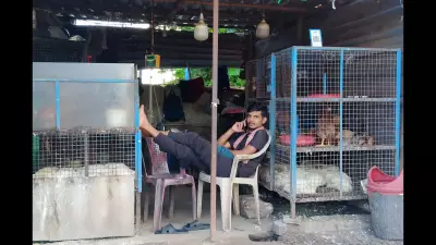 Bird Flu Confirmed in Bhagalpur Poultry Farm, Containment Underway