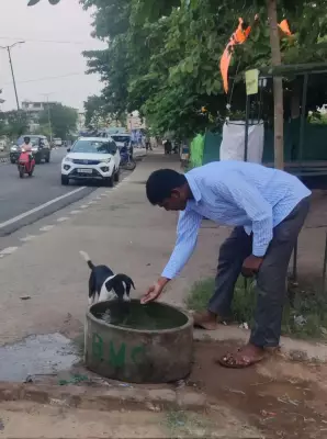 BMC deploys water tankers for stray animals amid heatwave