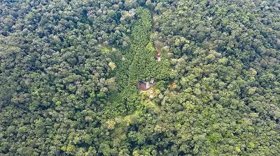 Centre Issues Draft Notification for Eco-Sensitive Zone Around Karnataka's Kali Tiger Reserve