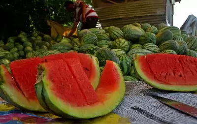 Chandigarh Food Dept Conducts Random Watermelon Sampling After Mumbai Deaths