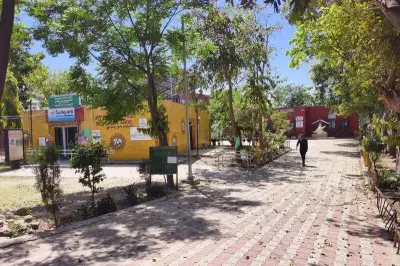 Chandigarh Government Schools Violate CBSE Norms Amid Private School Crackdown