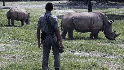Colombia's Hippo Crisis: Pablo Escobar's Legacy Sparks Environmental Debate