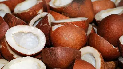 Copra Prices Soar to Record High of Rs 38,000 per Quintal in Tumakuru