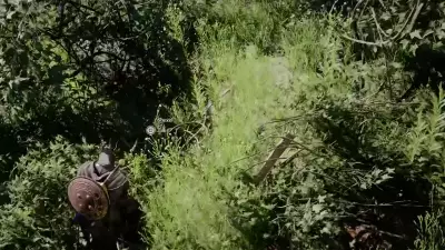 Crimson Desert: Complete Guide to Finding and Using Skyroot