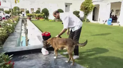 Delhi Assembly Security Breach: Pilibhit Man's Family Claims Mental Health Issues