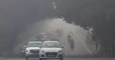 Delhi's EV Policy: Only Electric 3-Wheelers, Registration Incentives for Cleaner Air