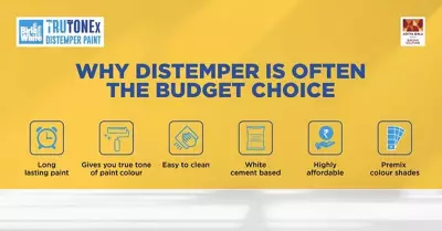 Distemper vs Emulsion Paint: Key Differences Before Choosing