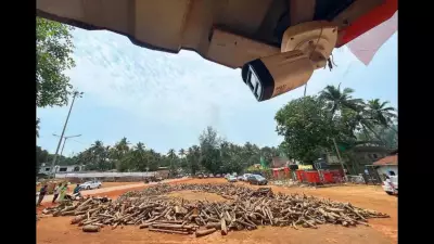 Enhanced Security and Restrictions for Shirgao's Devi Lairai Jatra After Last Year's Tragedy