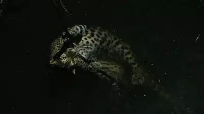 Female Leopard Rescued from 35-Foot Well in Maharashtra Forest