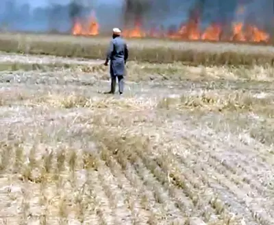 Fire Destroys Wheat Crop in Amritsar Village, Farmers Demand Relief