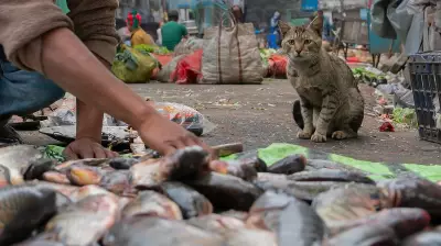 Fish as Political Symbol: How Bengal's Cuisine Defines 2026 Assembly Elections