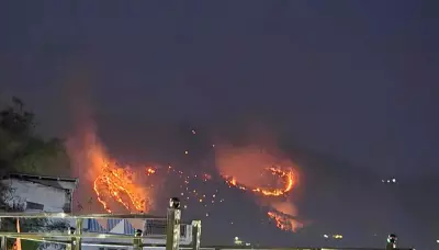 Forest Fire in Gageshwar's Ghiroli Sparks Wildlife Migration and Safety Concerns